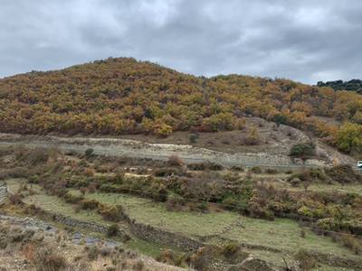 NAVALSAZ - ENCISO 6,5 km.(ida)